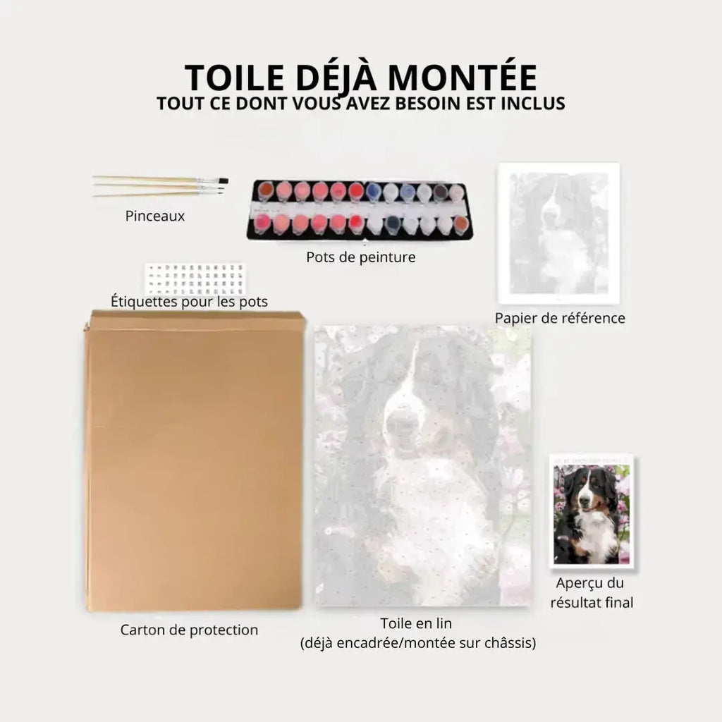 Kit de peinture Cascade Enchantée Itowss