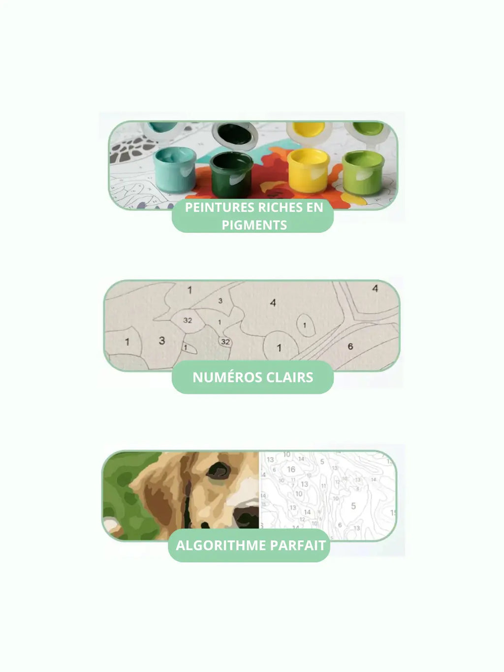 Kit de peinture personnalisé par numéros Itowss